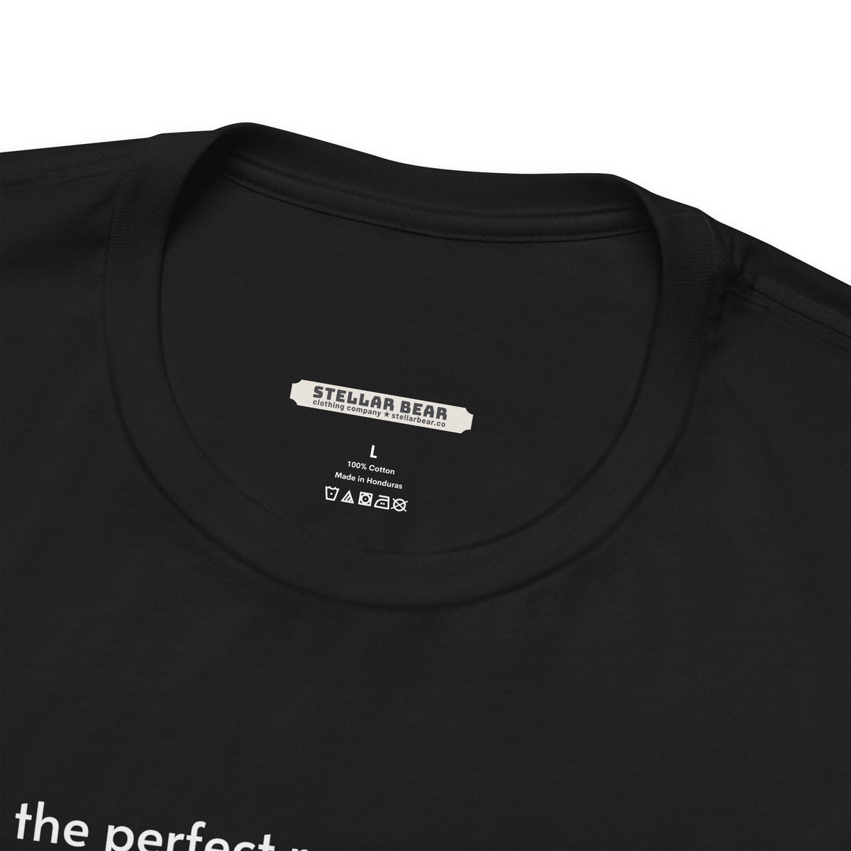 The Perfect Regency Mother Checklist T-Shirt (Jane Austen) product image 10
