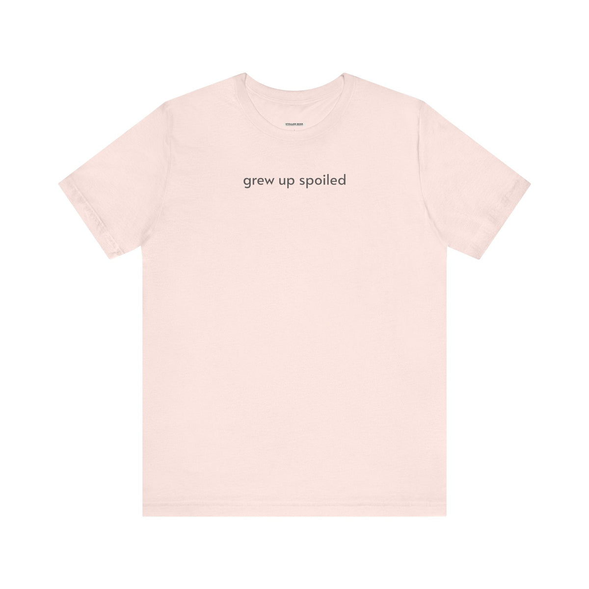 Grew Up Spoiled T-Shirt product image 14