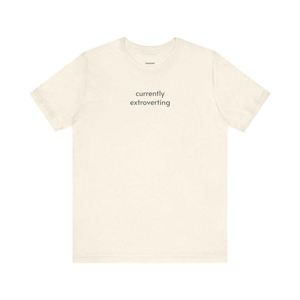 Currently Extroverting Minimalist Style T-Shirt product image 10