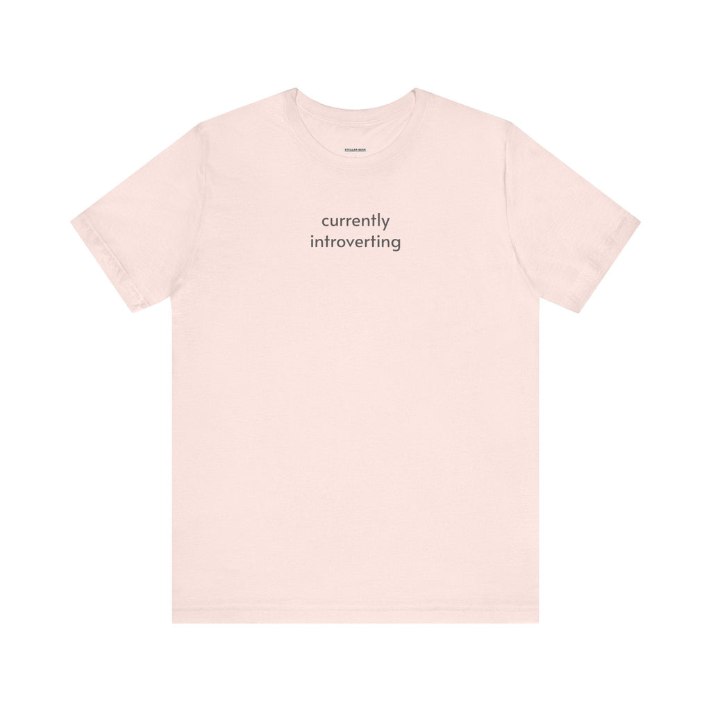 Currently Introverting Minimalist Style T-Shirt product image 13