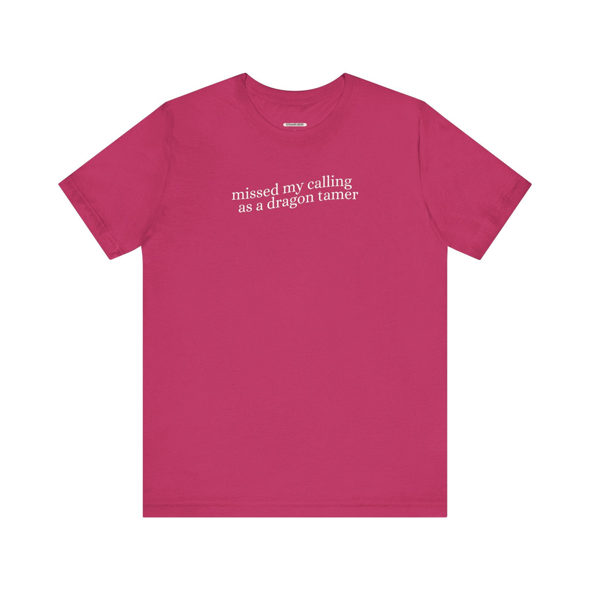 Missed My Calling as a Dragon Tamer Minimalist Style T-Shirt product image 8