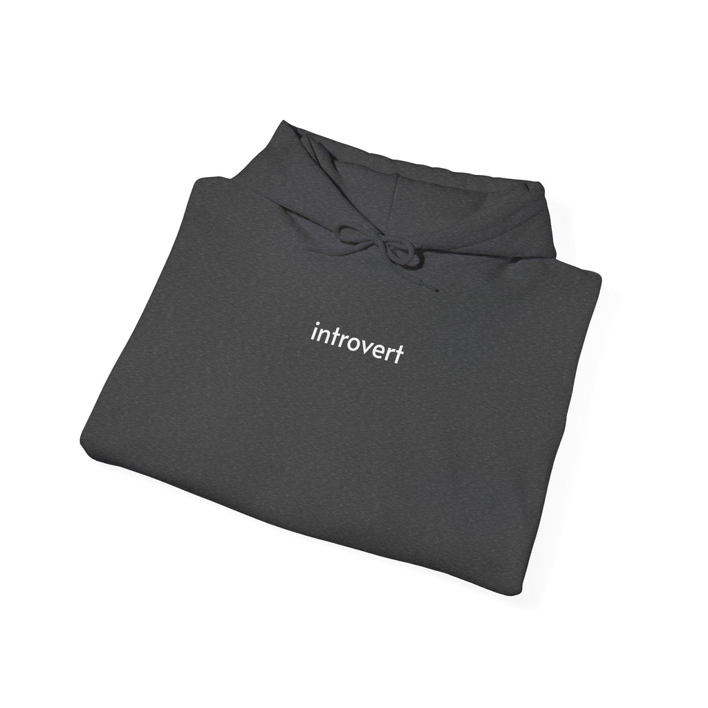 Introvert Hoodie product image 8