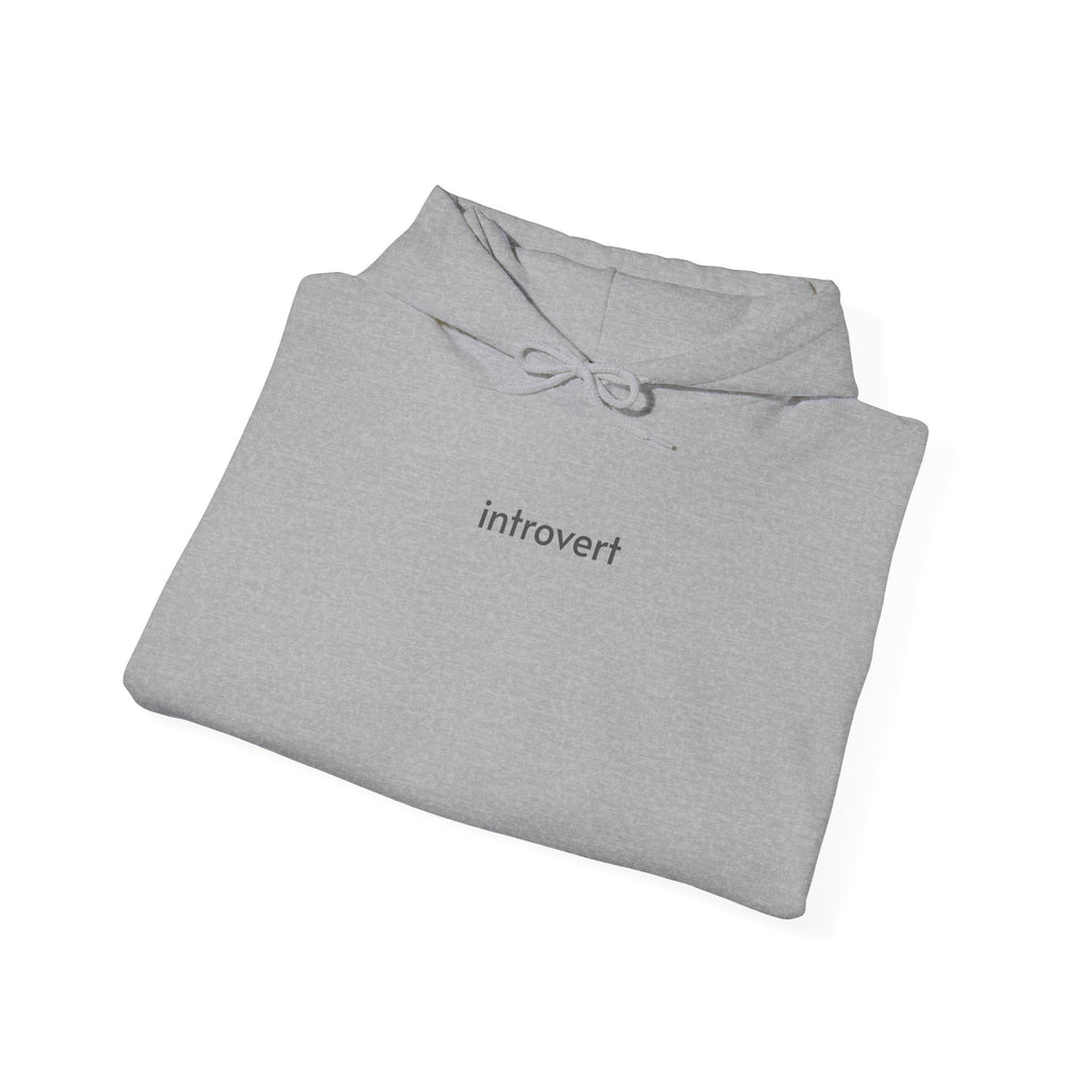 Introvert Hoodie product image 13