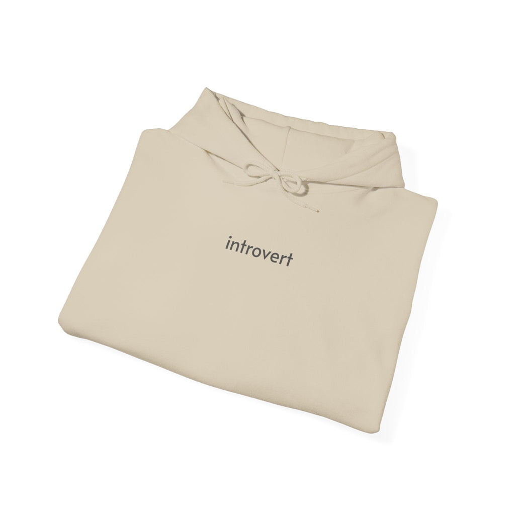 Introvert Hoodie product image 12