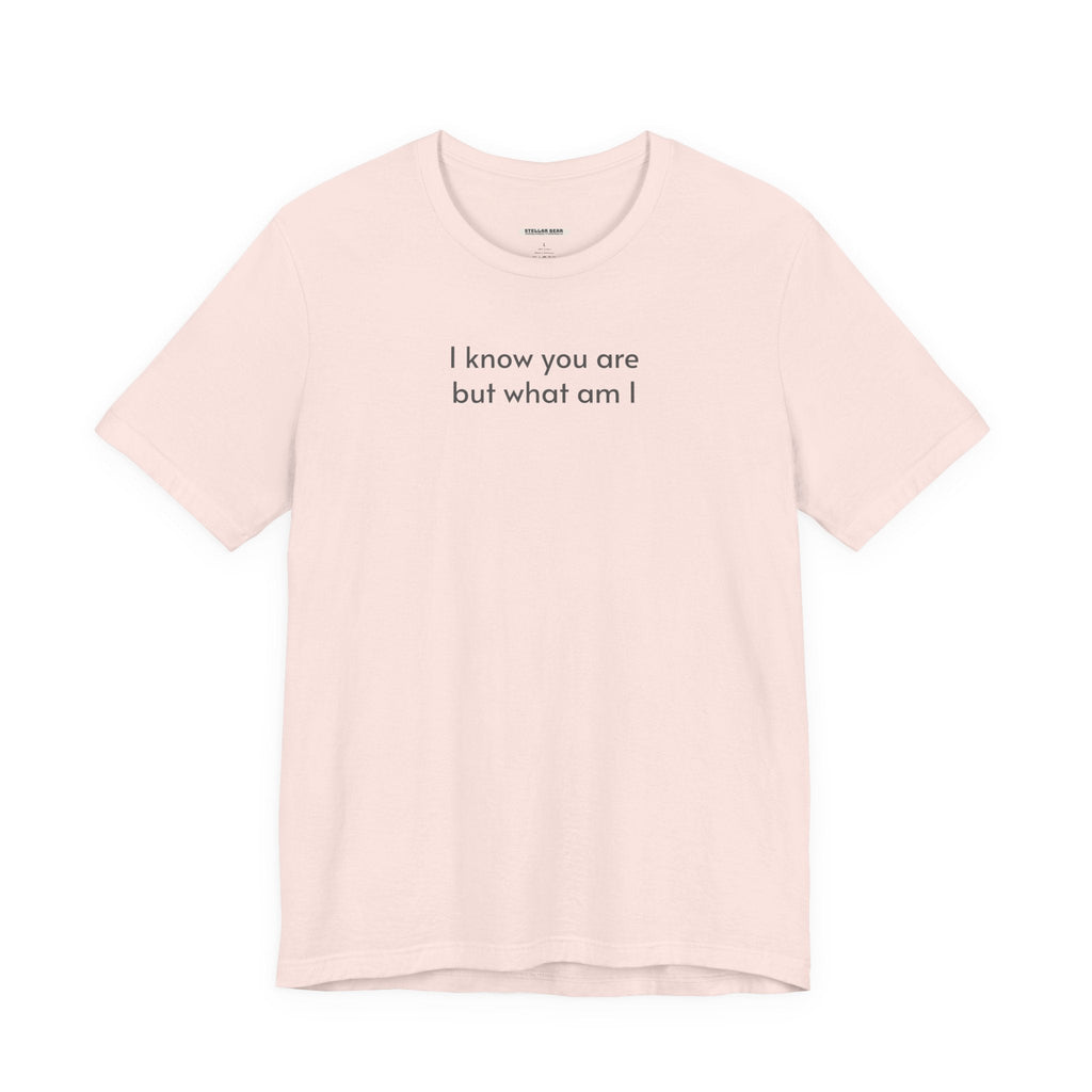 I Know You Are But What Am I T-Shirt product image 15