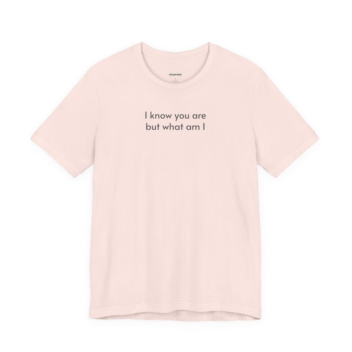 I Know You Are But What Am I T-Shirt product image 15
