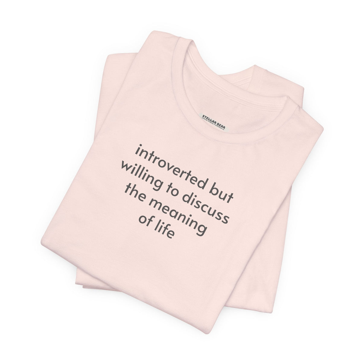 Introverted but Willing to Discuss the Meaning of Life product image 1