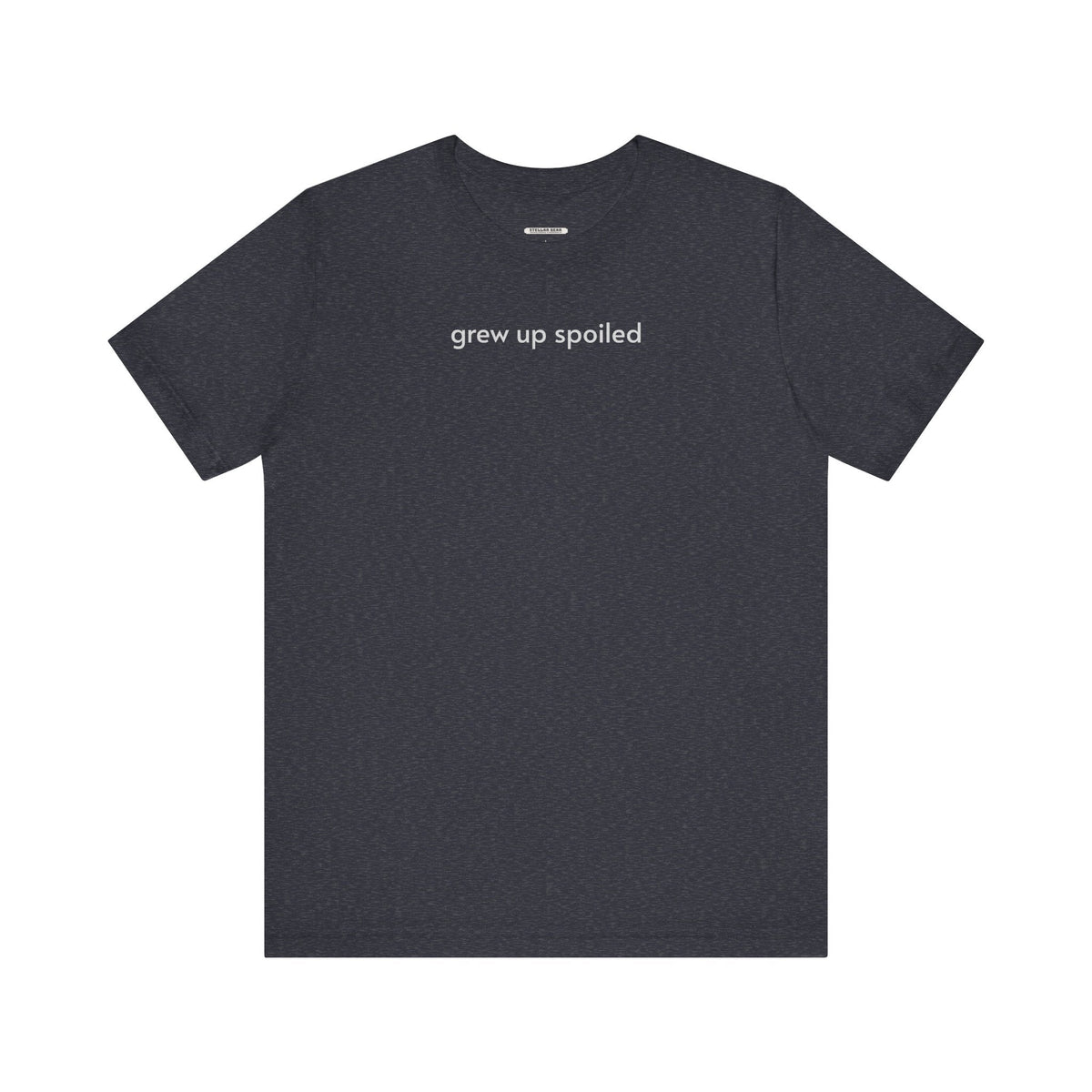 Grew Up Spoiled T-Shirt product image 8