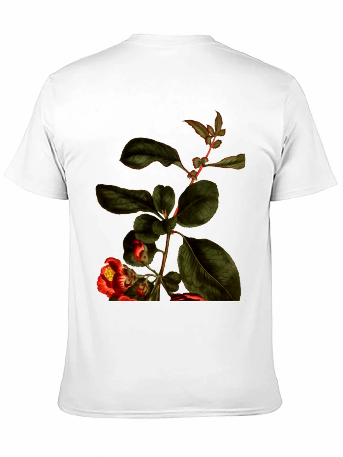Botanical Print Black T-Shirt - Nature Inspired Tee product image 10