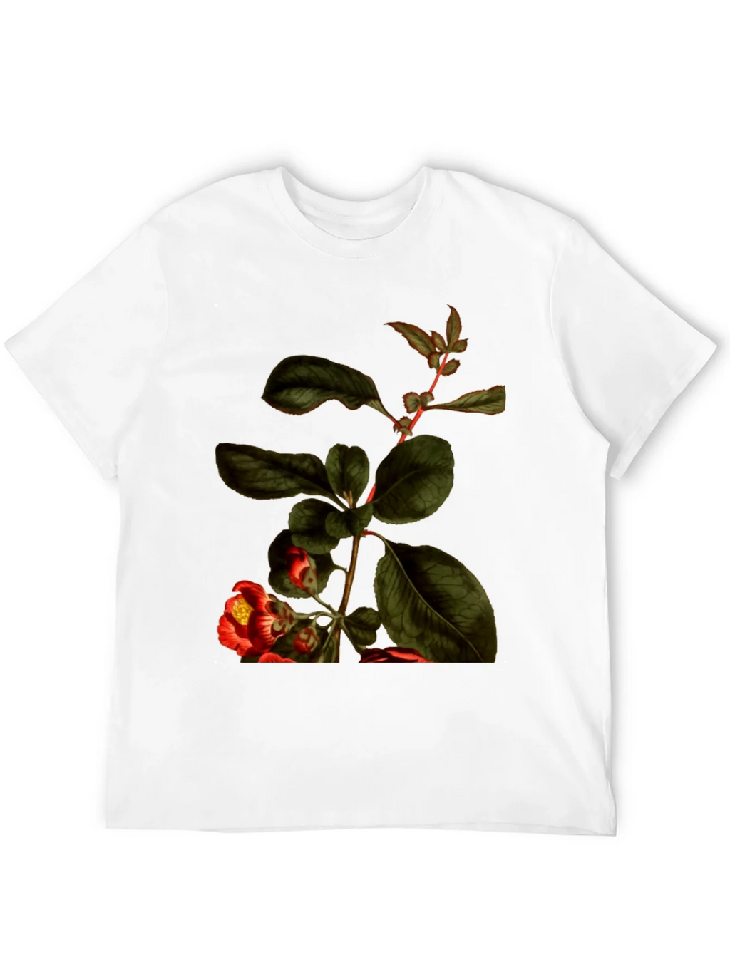 Botanical Print Black T-Shirt - Nature Inspired Tee product image 11
