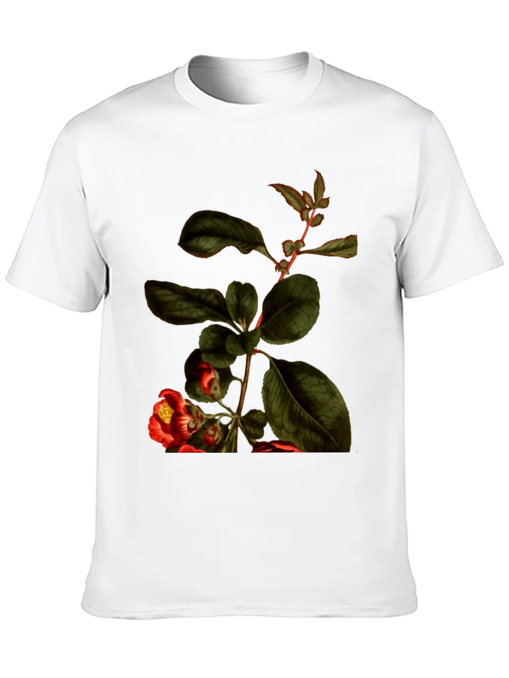 Botanical Print Black T-Shirt - Nature Inspired Tee product image 9