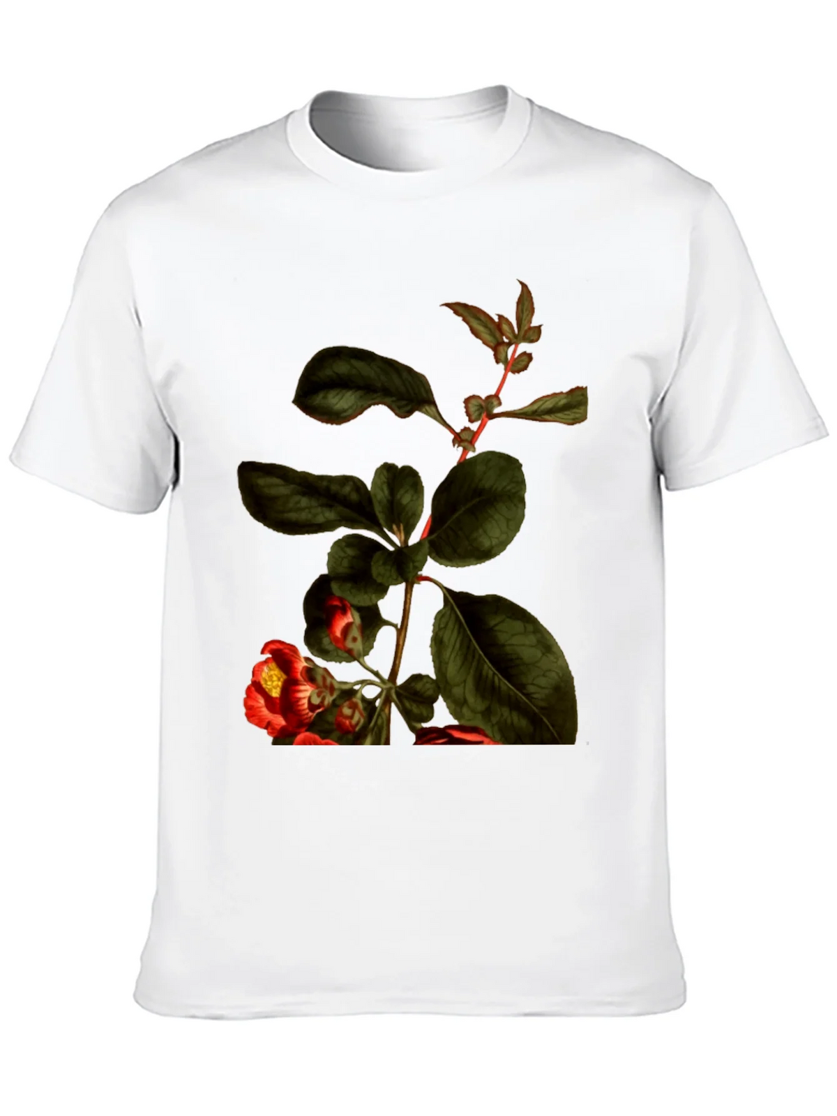 Botanical Print Black T-Shirt - Nature Inspired Tee product image 9