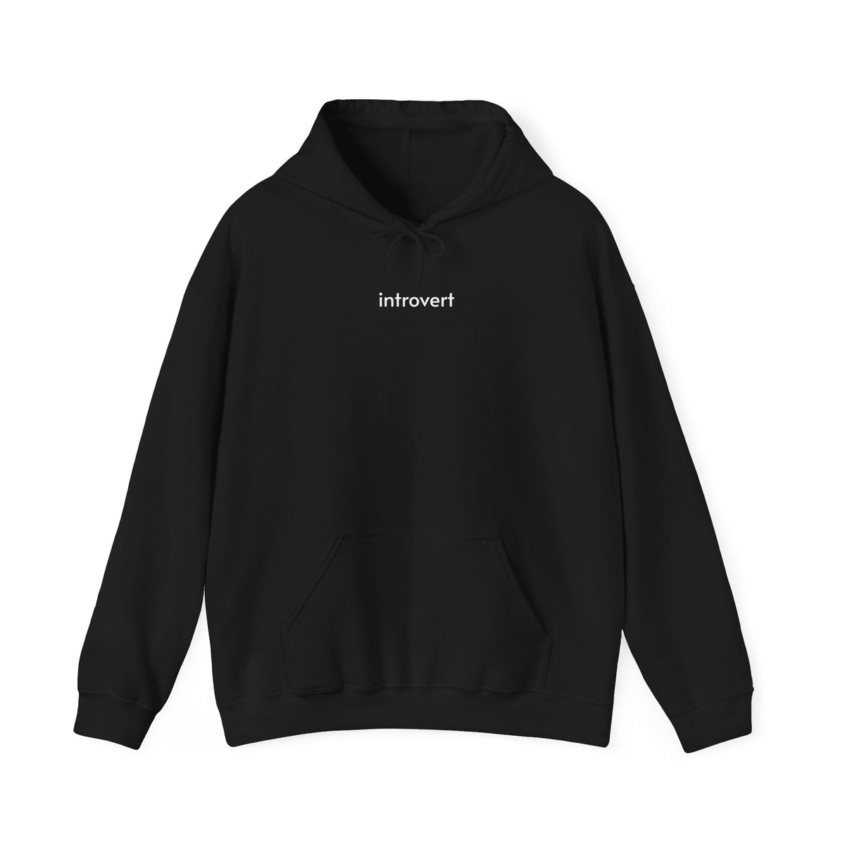 Introvert Hoodie product image 3