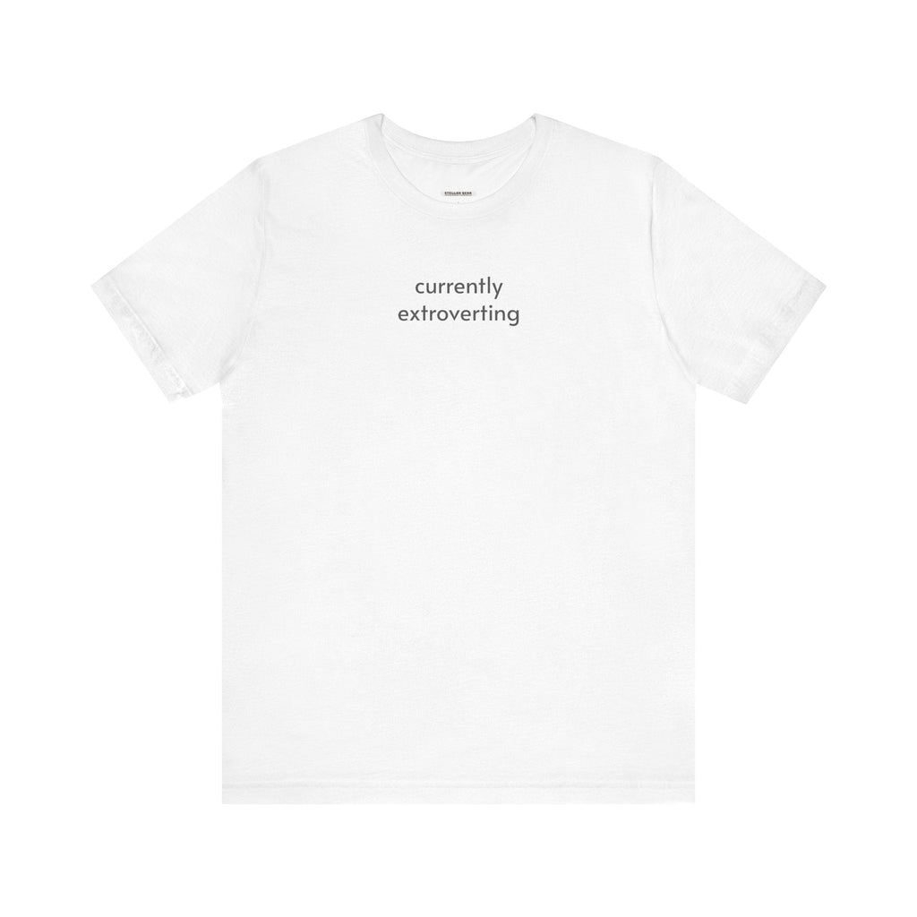 Currently Extroverting Minimalist Style T-Shirt product image 11
