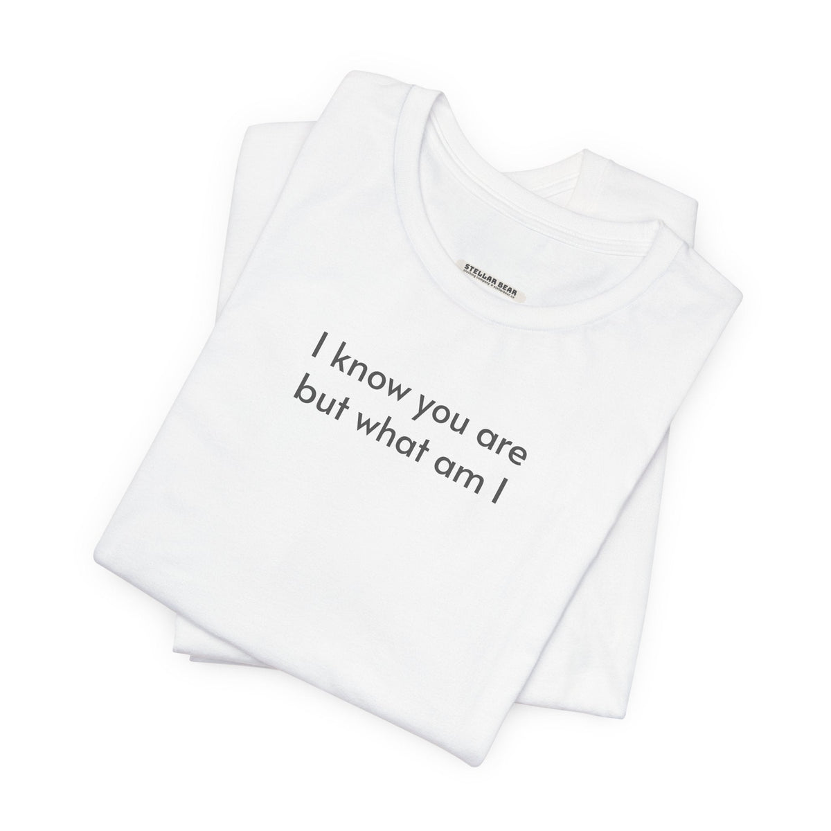 I Know You Are But What Am I T-Shirt product image 2
