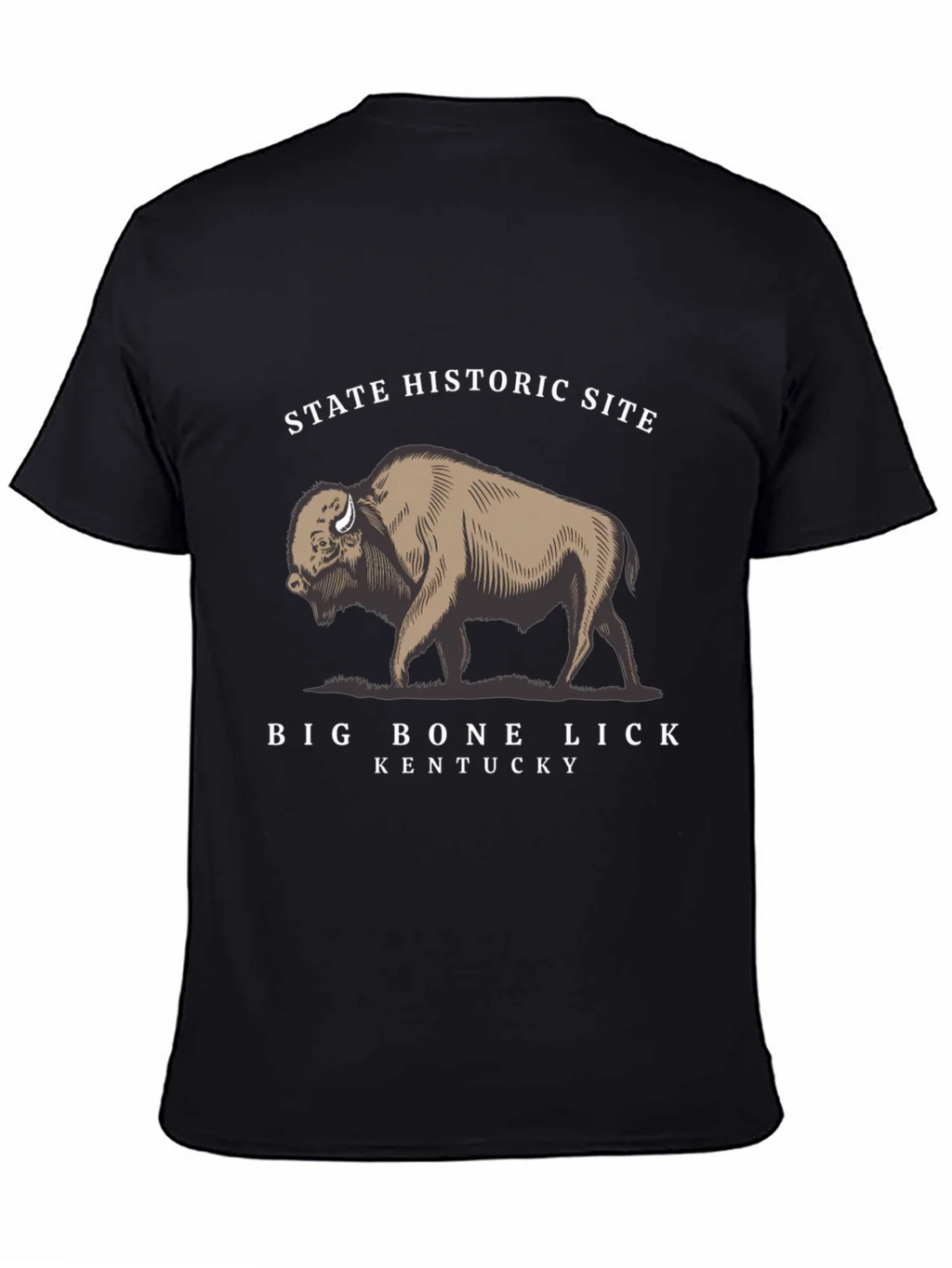 Big Bone Lick Kentucky Bison T-Shirt product image 1