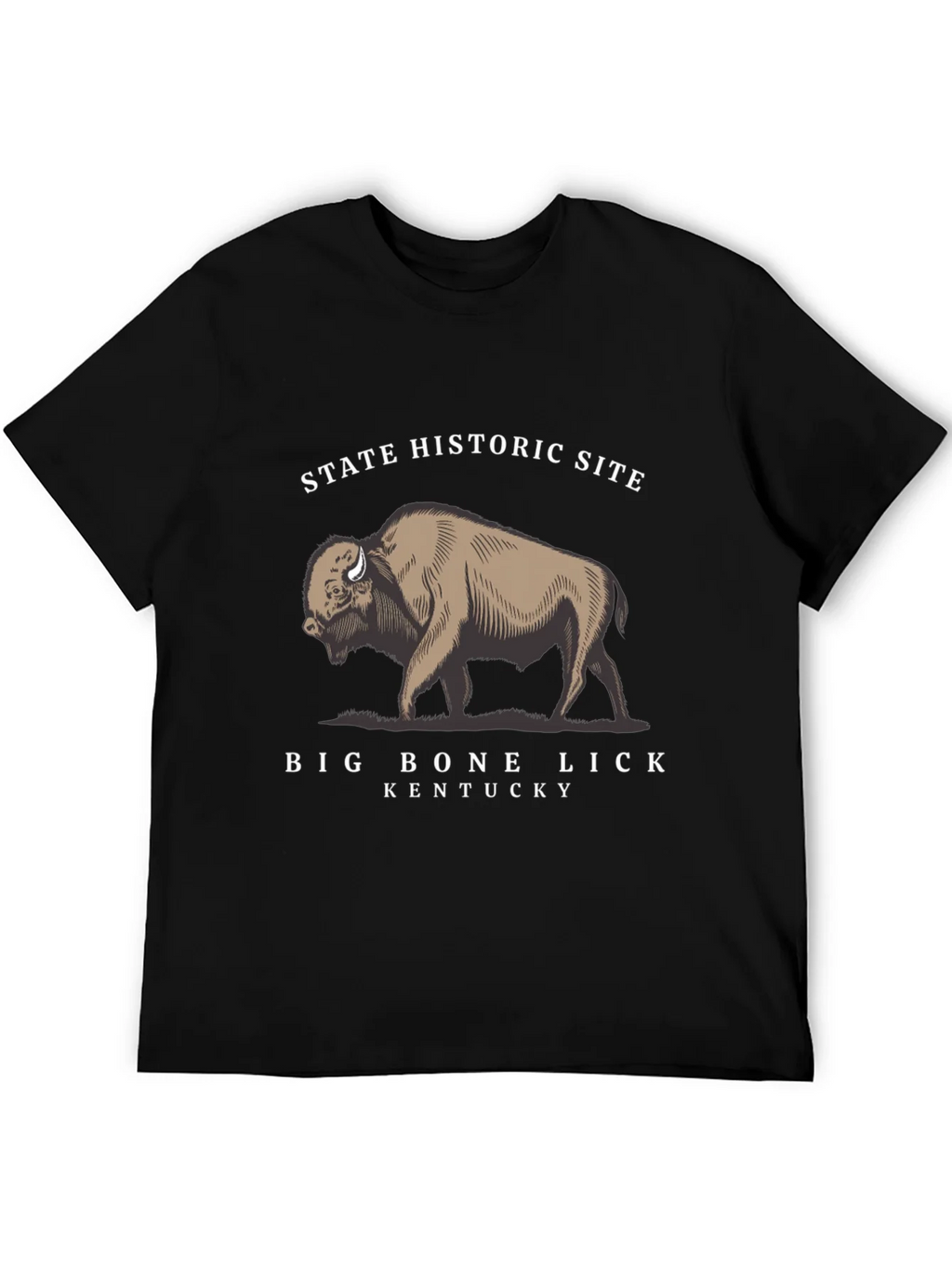 Big Bone Lick Kentucky Bison T-Shirt product image 2