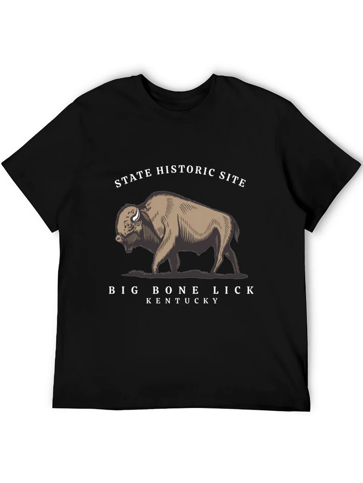 Big Bone Lick Kentucky Bison T-Shirt product image 2
