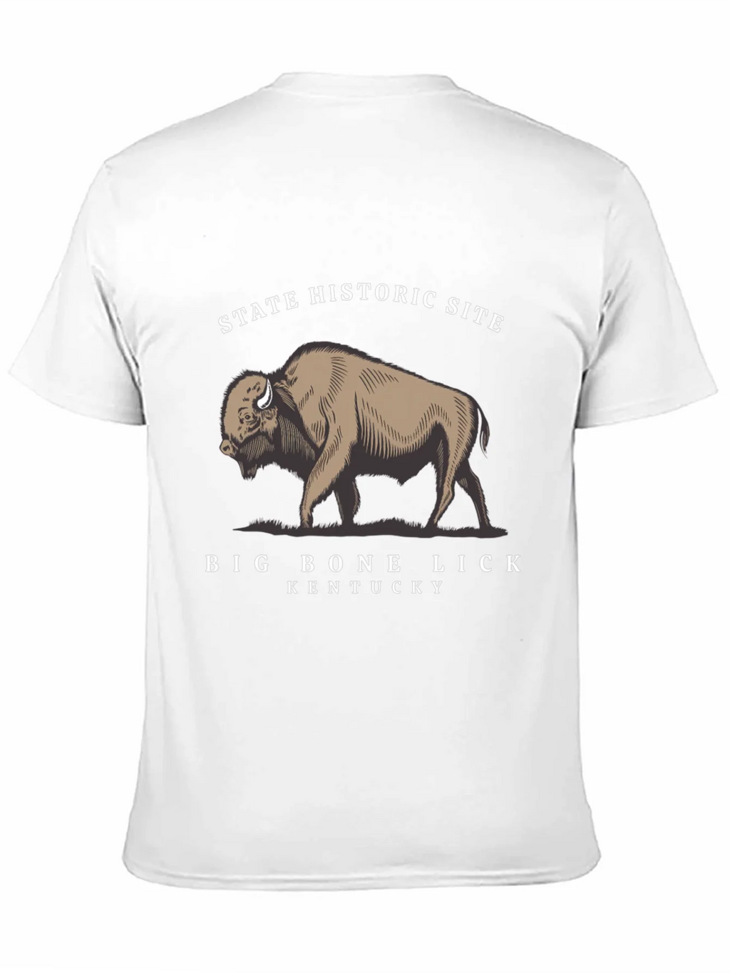 Big Bone Lick Kentucky Bison T-Shirt product image 5