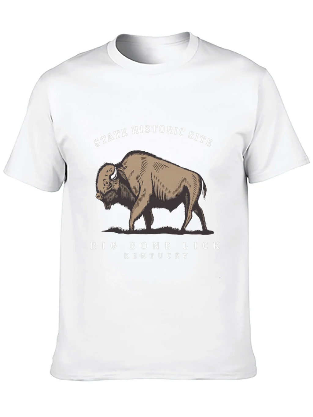 Big Bone Lick Kentucky Bison T-Shirt product image 4