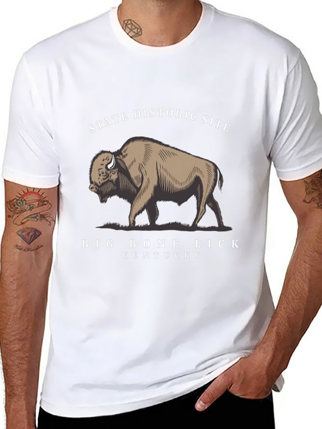 Big Bone Lick Kentucky Bison T-Shirt product image 3