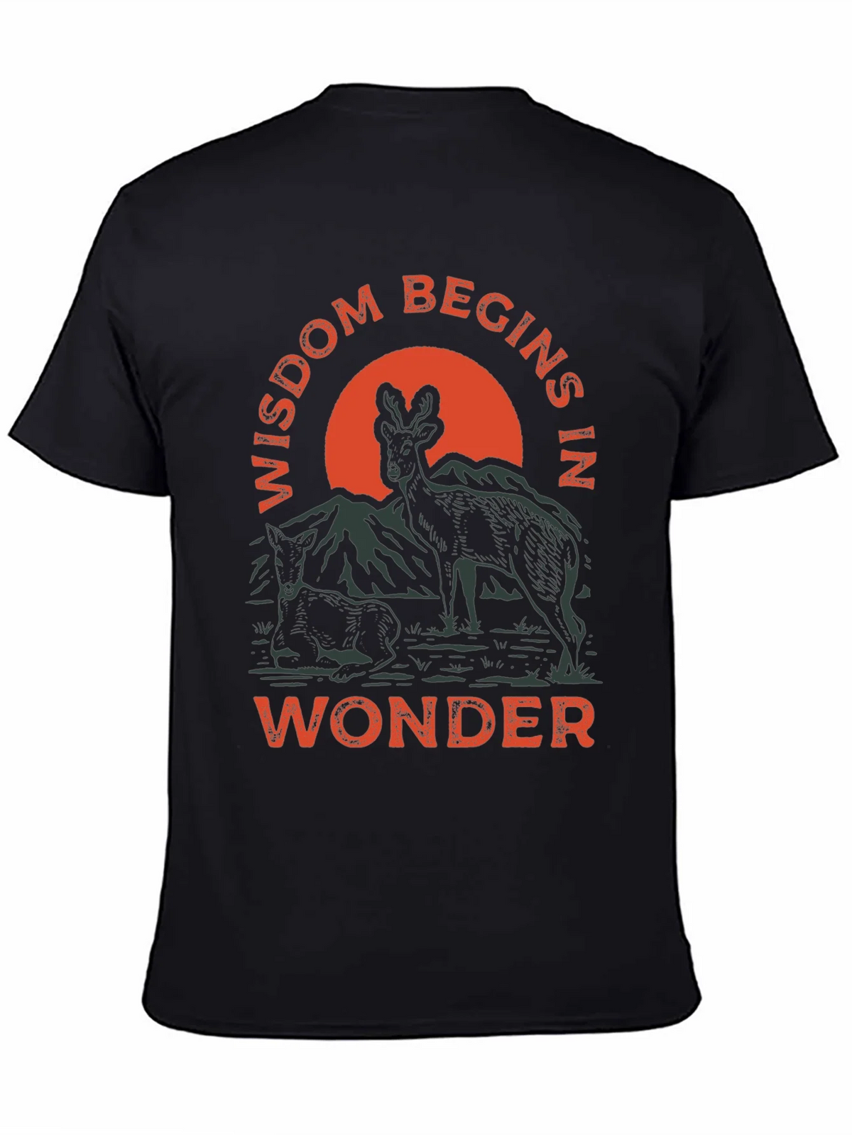 Wisdom Begins in Wonder Graphic Tee product image 4