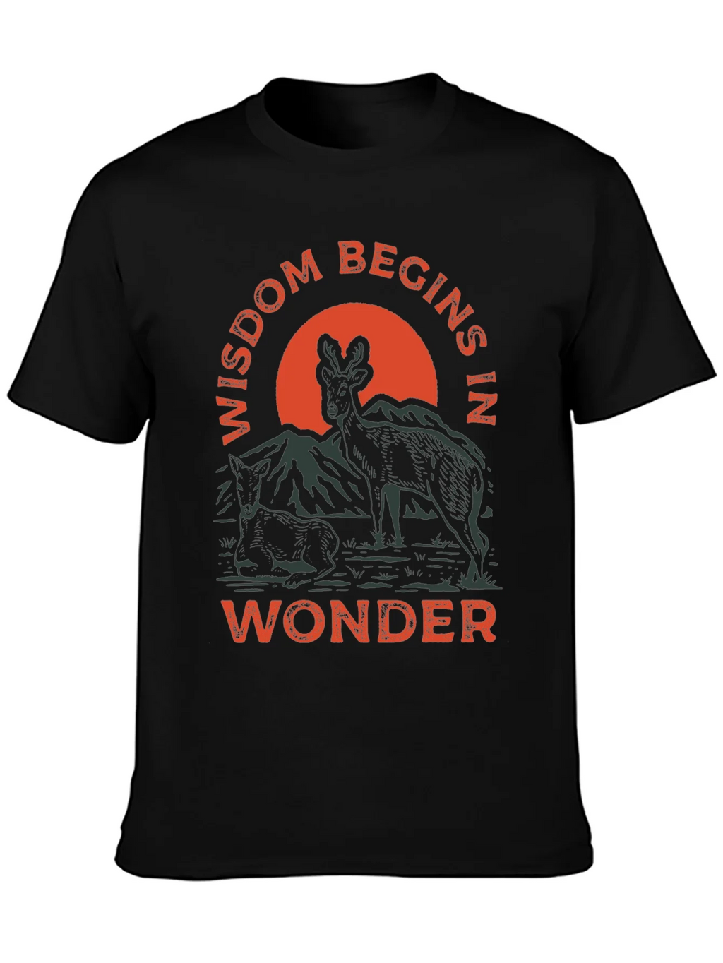 Wisdom Begins in Wonder Graphic Tee product image 3