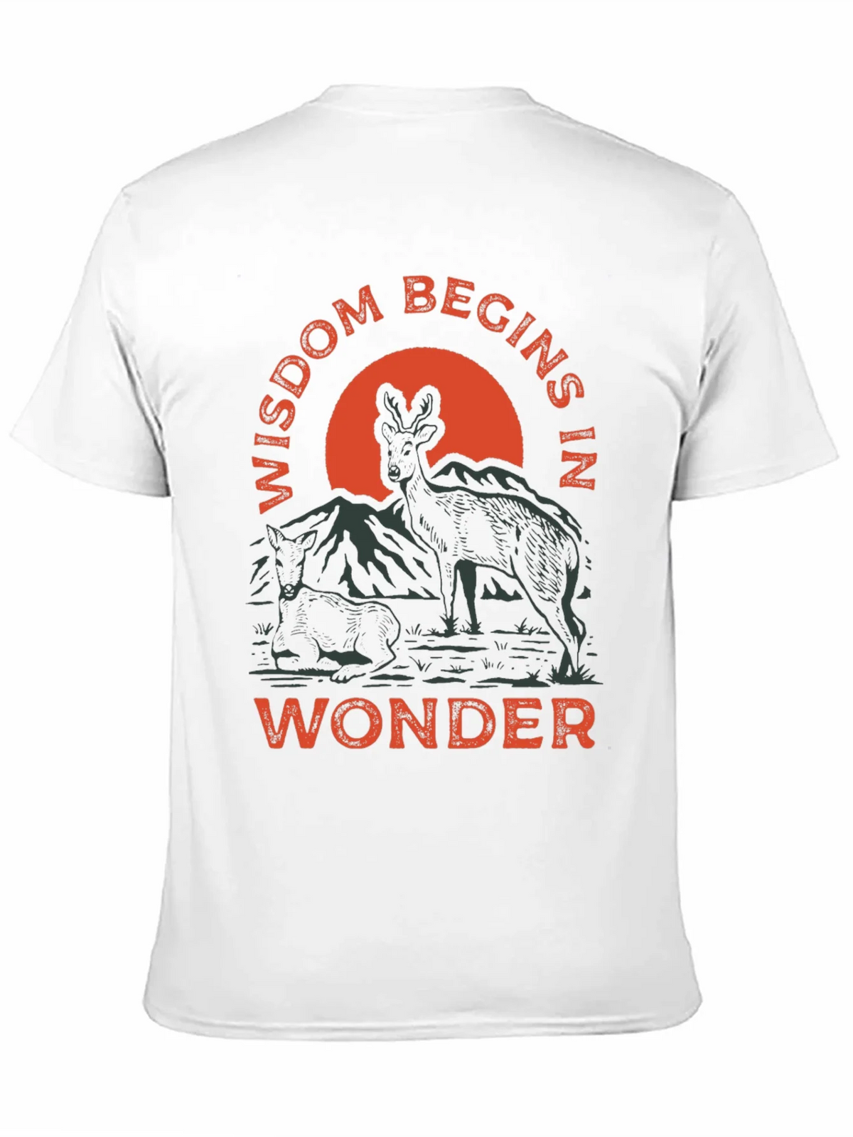 Wisdom Begins in Wonder Graphic Tee product image 10