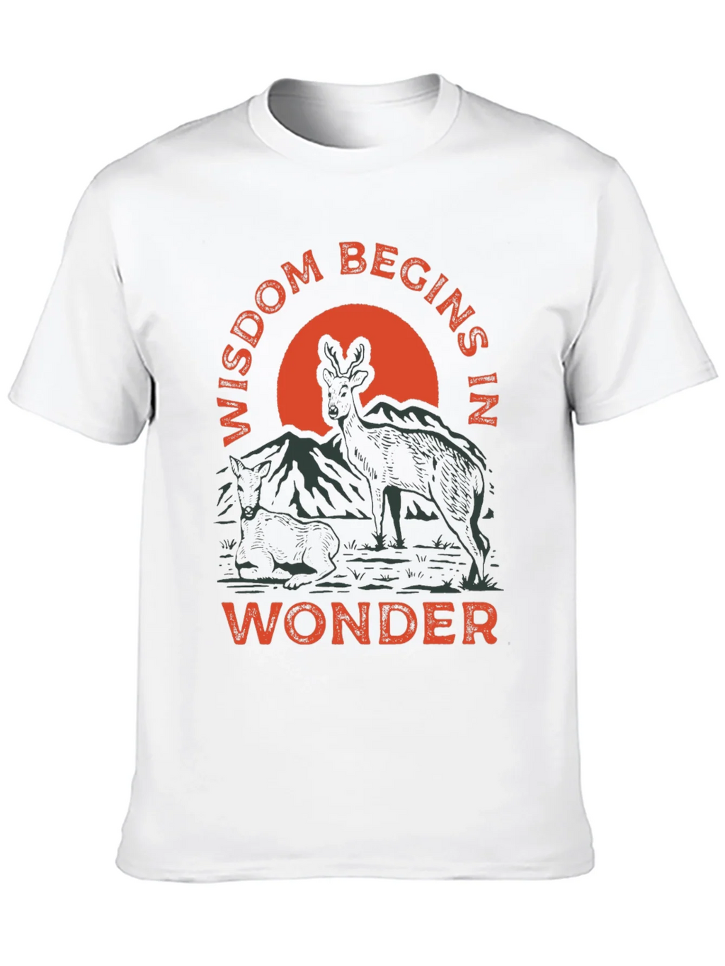 Wisdom Begins in Wonder Graphic Tee product image 9