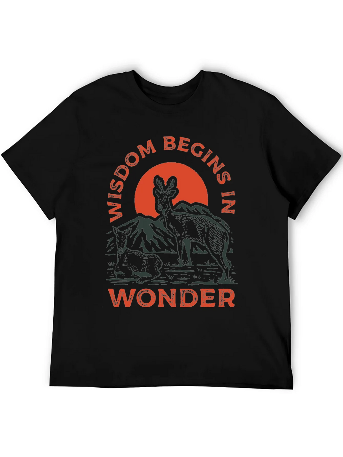 Wisdom Begins in Wonder Graphic Tee product image 5