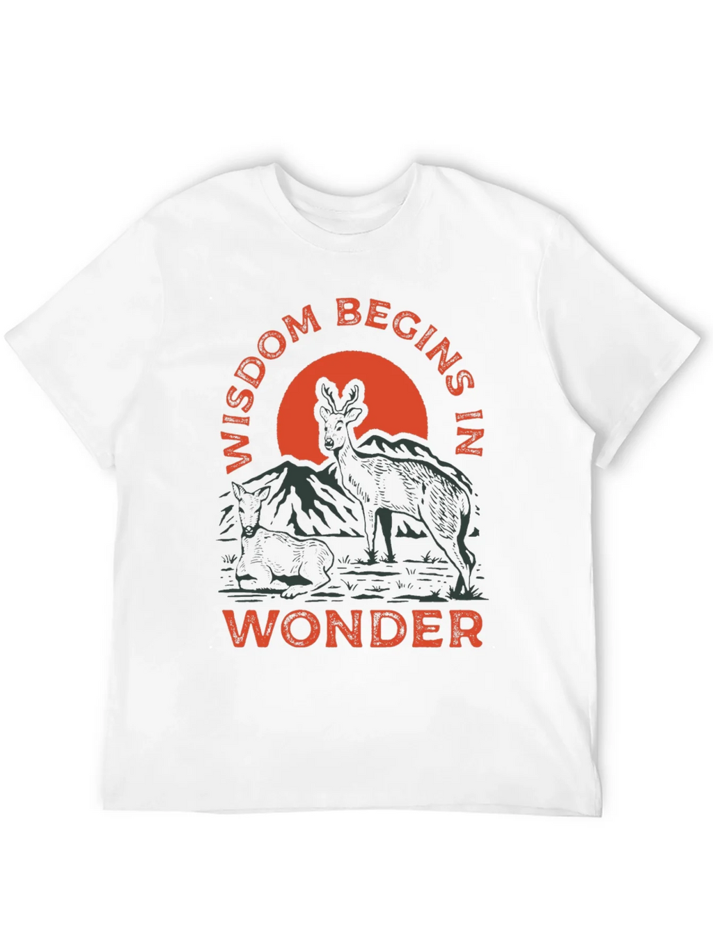 Wisdom Begins in Wonder Graphic Tee product image 11