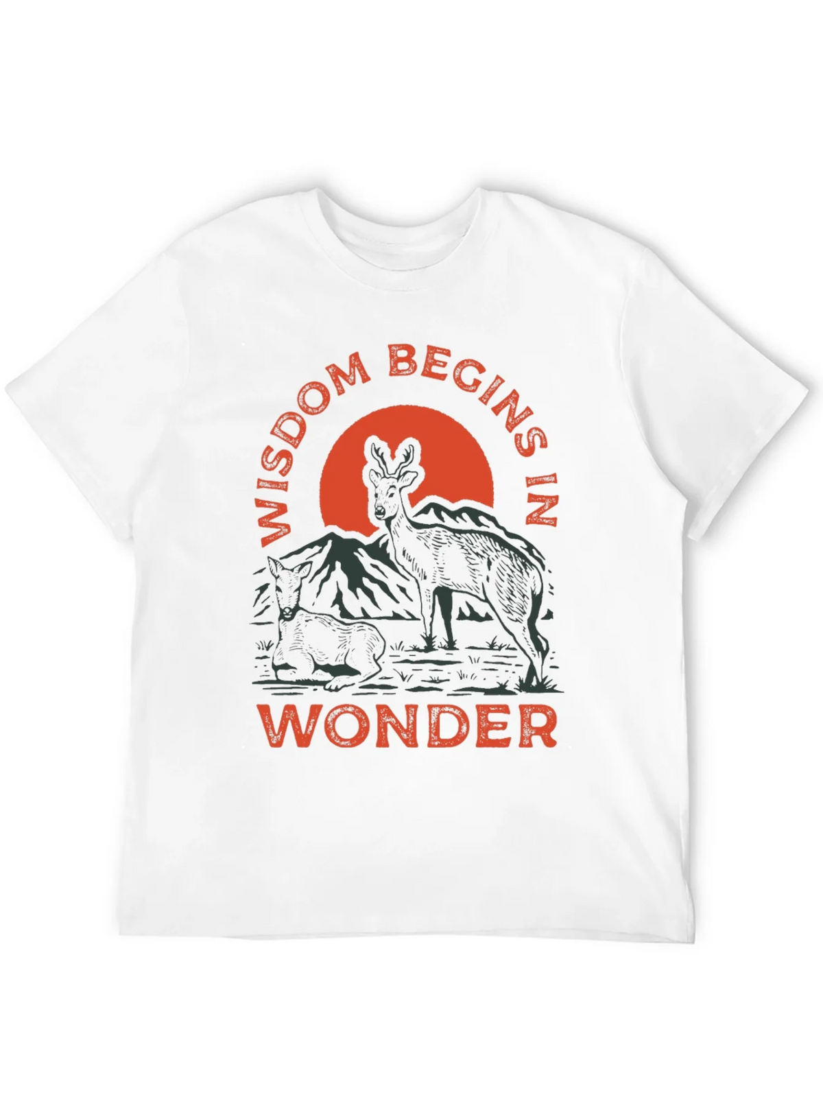 Wisdom Begins in Wonder Graphic Tee product image 11