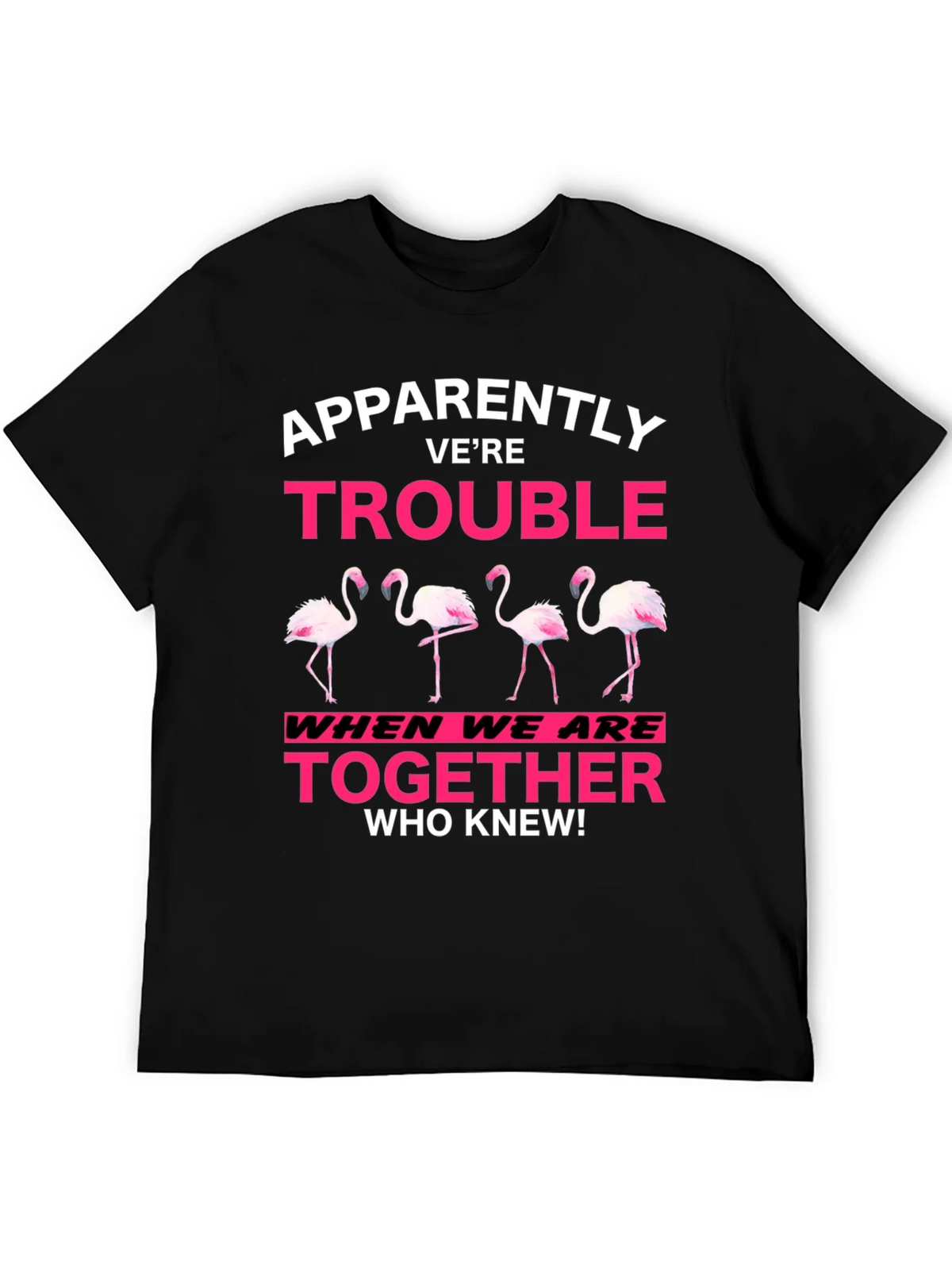 Funny Flamingo Trouble Graphic T-Shirt product image 5