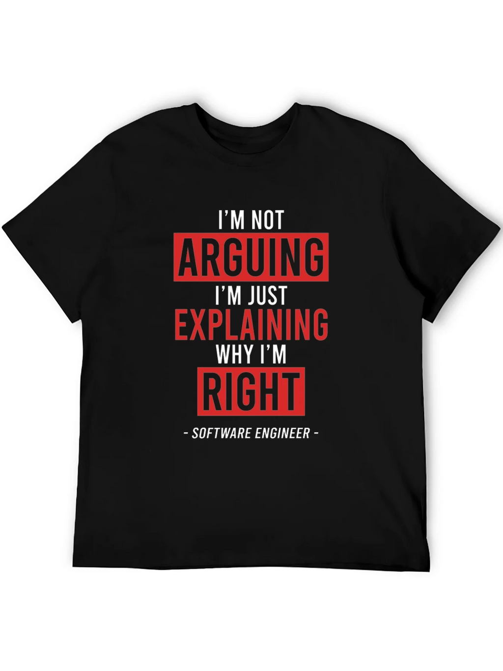 Im Not Arguing Funny Software Engineer T-Shirt product image 3