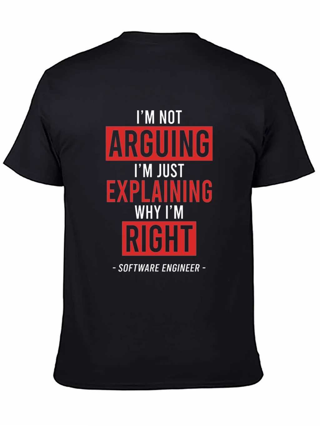 Im Not Arguing Funny Software Engineer T-Shirt product image 2
