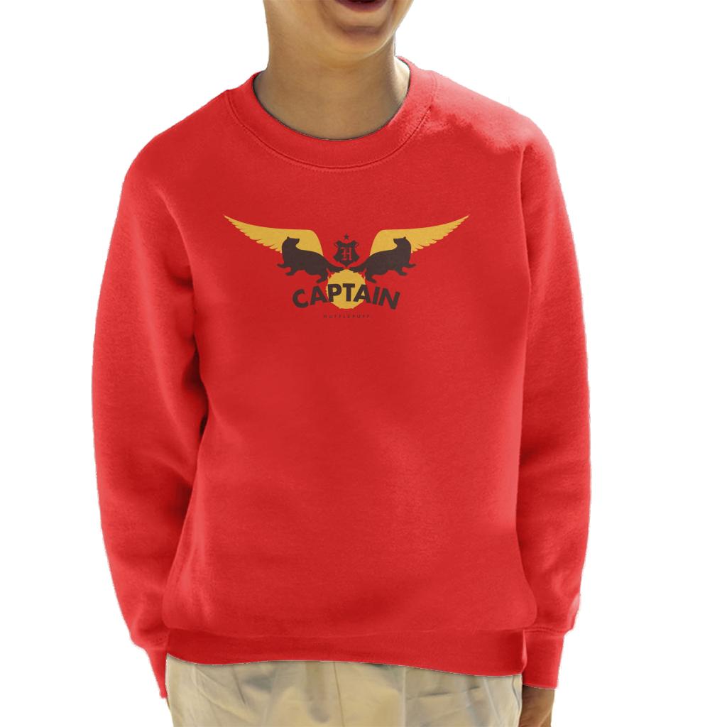 Harry Potter Golden Snitch Captain Hufflepuff Kid's product image 1