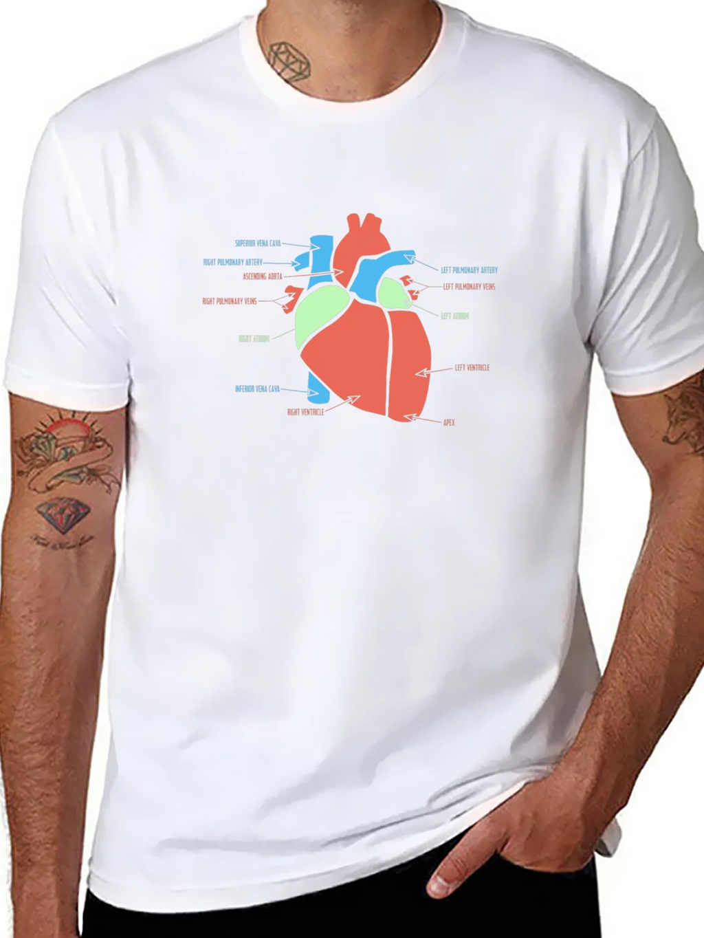 Anatomy Heart T-Shirt - Medical Science Tee product image 7