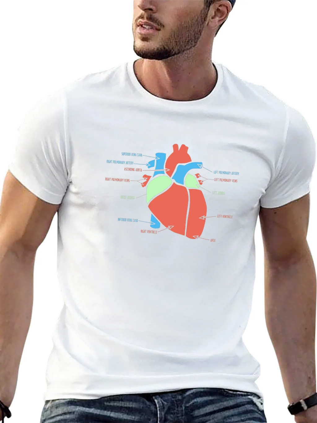 Anatomy Heart T-Shirt - Medical Science Tee product image 12