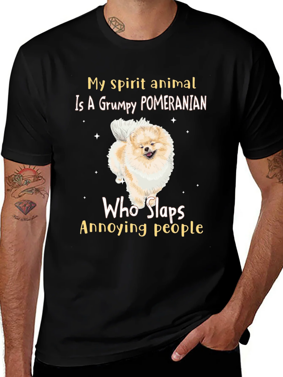 Grumpy Pomeranian Slaps People T-Shirt product image 1