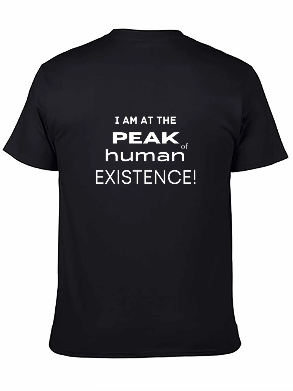 Peak Human Existence T-Shirt - Funny Sarcastic Tee product image 4